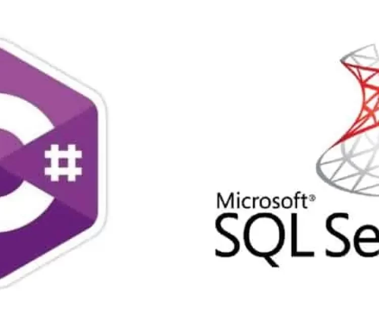 Connect-SQL-Server-Database-Csharp-Example-1-1024x417